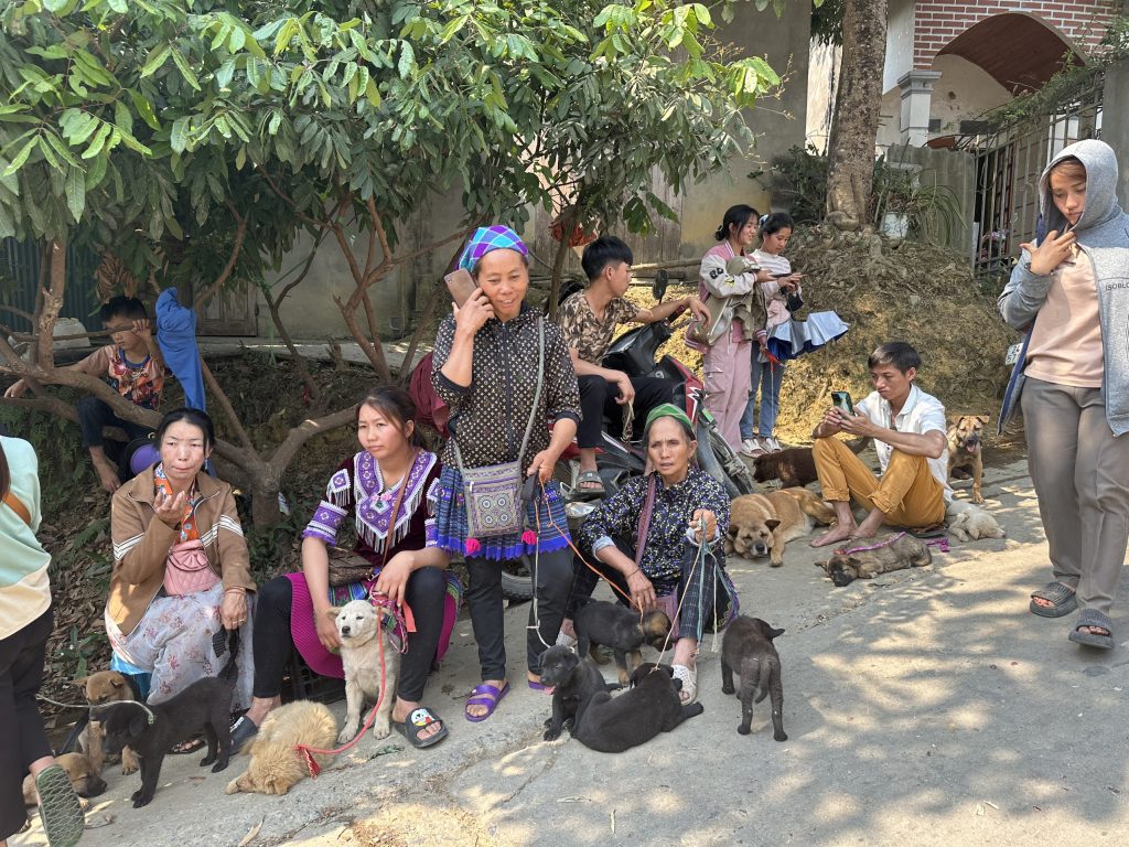 Bac Ha Market Tour From Sapa