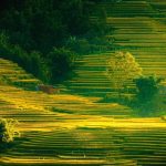 Slider Img