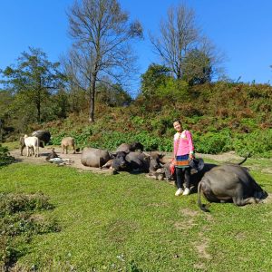 Sapa Trekking With Nature Panorama View