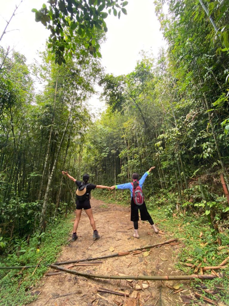 Muong Hoa Valley And Bamboo Forest trek