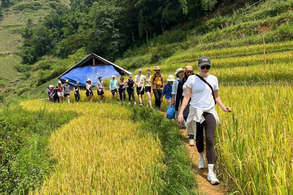 Sapa Trekking 2 Days & Stay Homestay